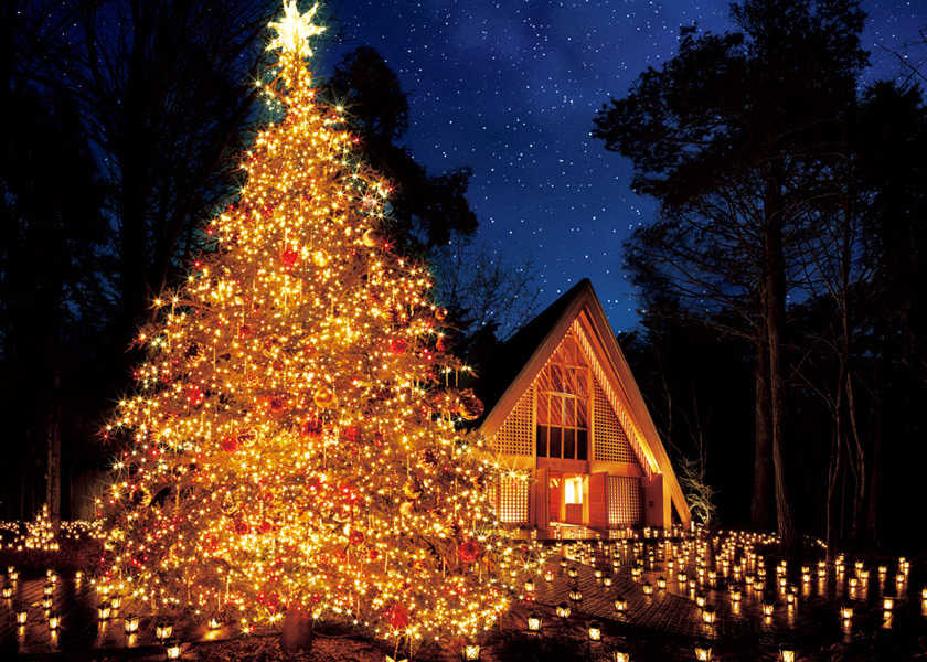 クリスマス、どう楽しく過ごす!?外でのクリスマスなら、特別な空間で非日常を2人で味わって！