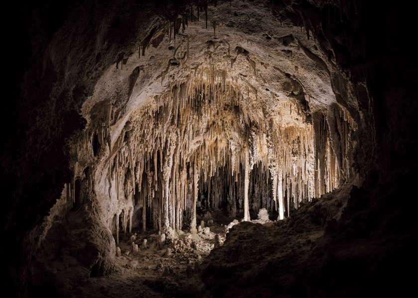アメリカ ナショナルパークへの旅 vol.11【カールスバッド洞窟群国立公園】地中に広がる奇跡の鍾乳洞。奇怪な造形の連続は目にしたことがない別世界！