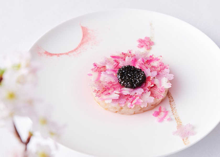 はまだふくこの発見！ 料理とお酒のベストマッチング！ vol.15〈フィリップ・ミル 東京〉シャンパーニュ好きの彼女を誘って、 “Menu SAKURA”で桜の華やぎを味覚体験！
