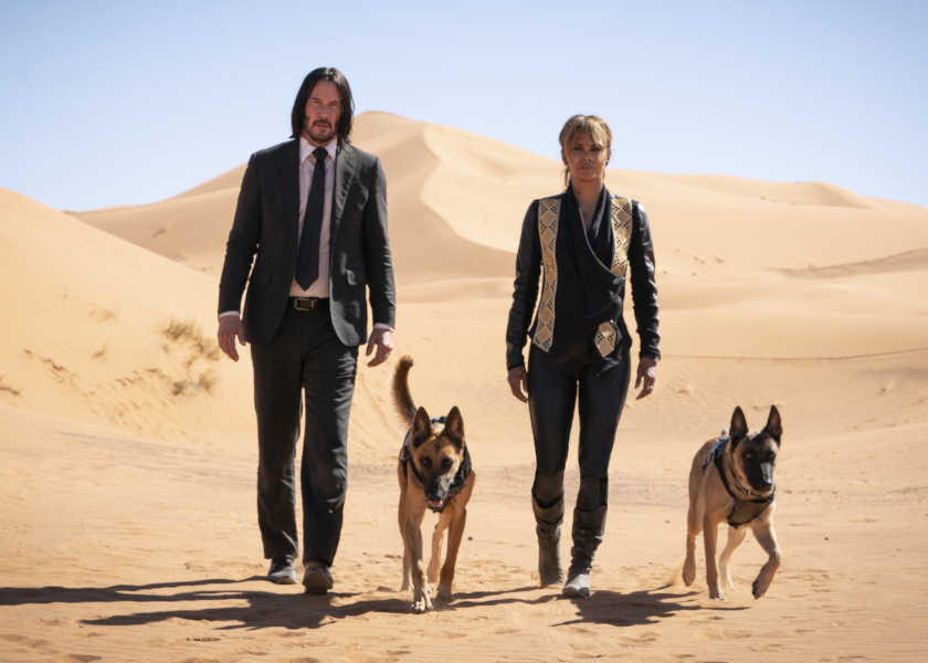 ワンダフルな犬映画５選！《再配信》