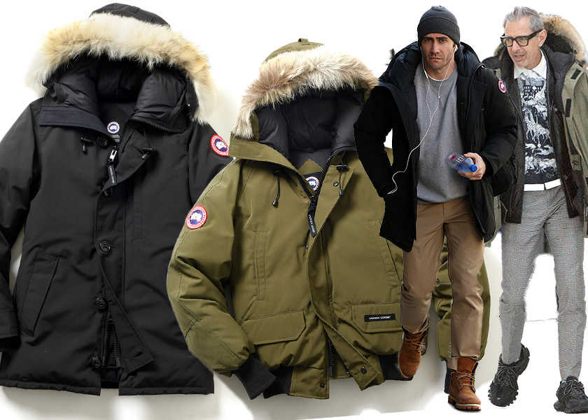 今季はコレ セレブ着用率も高い カナダグース のダウン5選 Fashion Safari Online