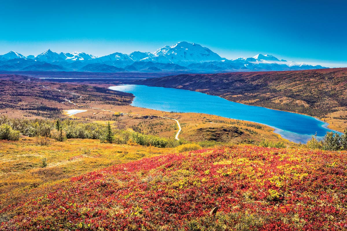 【デナリ国立公園】大型動物が闊歩し、偉大なる山がそびえるアラスカの大地