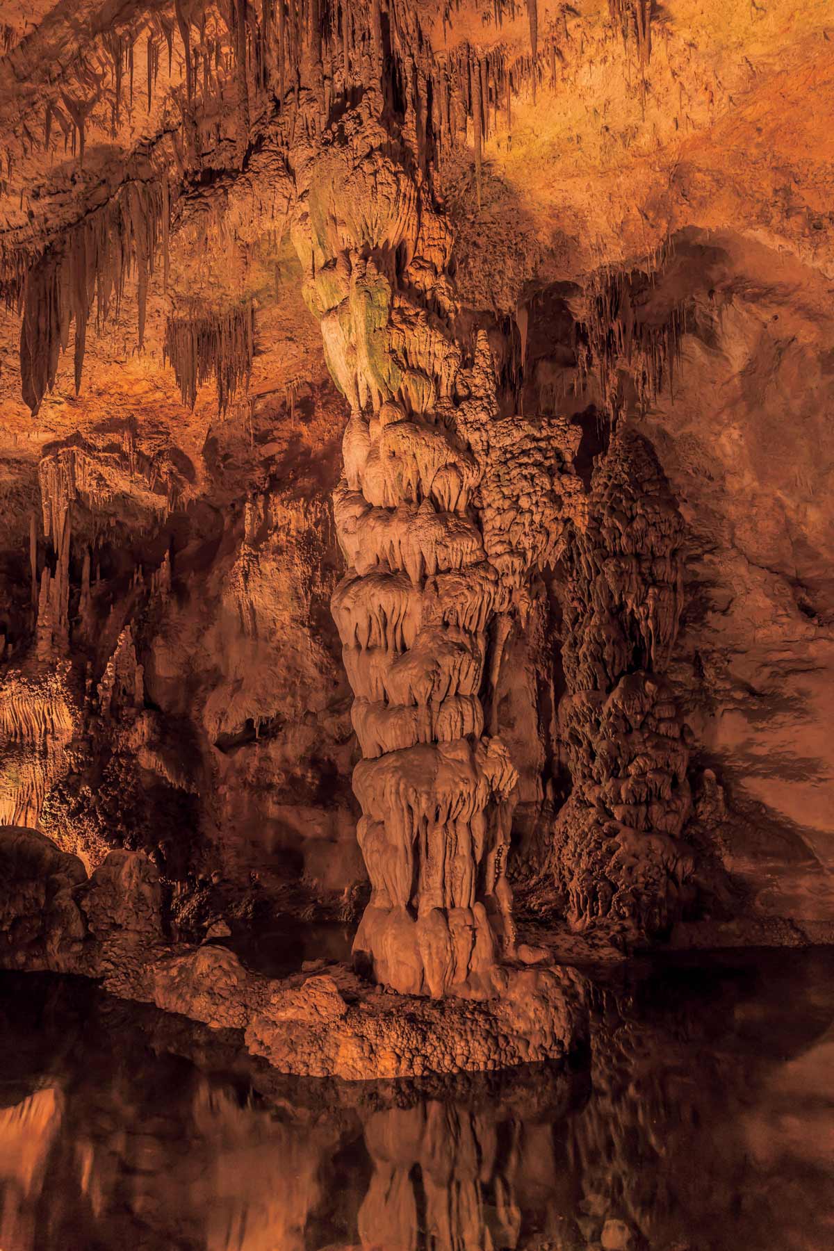 【カールスバッド洞窟群国立公園】地中に広がる奇跡の鍾乳洞。奇怪な造形の連続は目にしたことがない別世界！