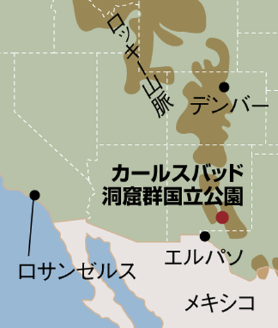 【レッドウッド国立&州立公園】地球上で最も高い木が支配する北カリフォルニアの静かでストイックな森と海岸