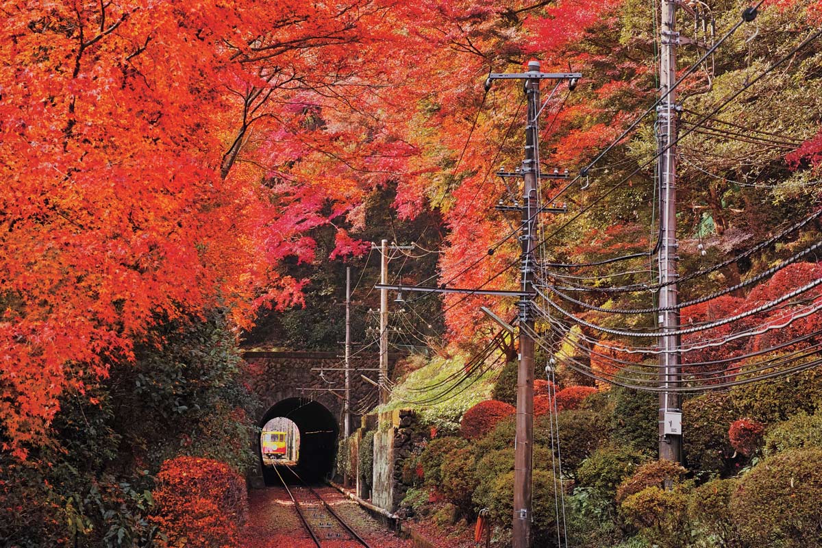 【10選】移りゆく時間を愛でる秋の紅葉！