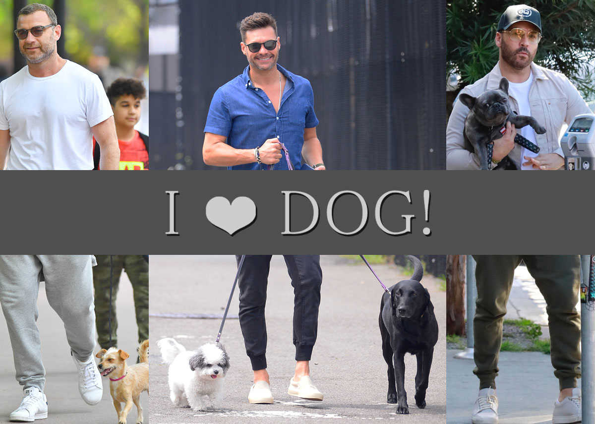 セレブのワンマイル姿をパパラッチ 普段のお洒落感覚は愛犬の散歩でバレる Celebrity Safari Online