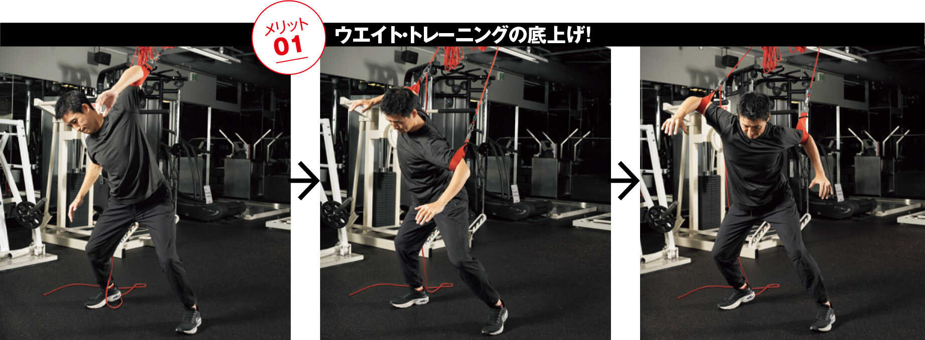 Safari Online-カラダの機能を覚醒させる革新的オリジナルメソッド！