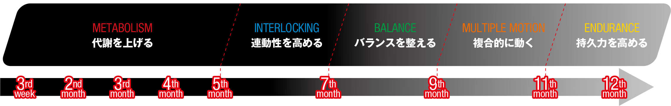 Safari Online-理想のカラダを掴みとる最短ルートがここにある！