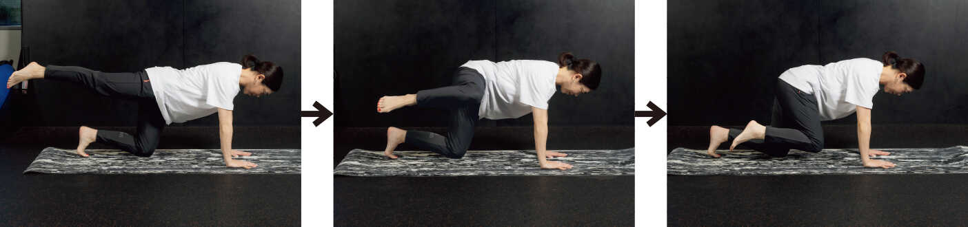 Safari Online-アクティブな人に選ばれる筋肉を落さないファスティング!