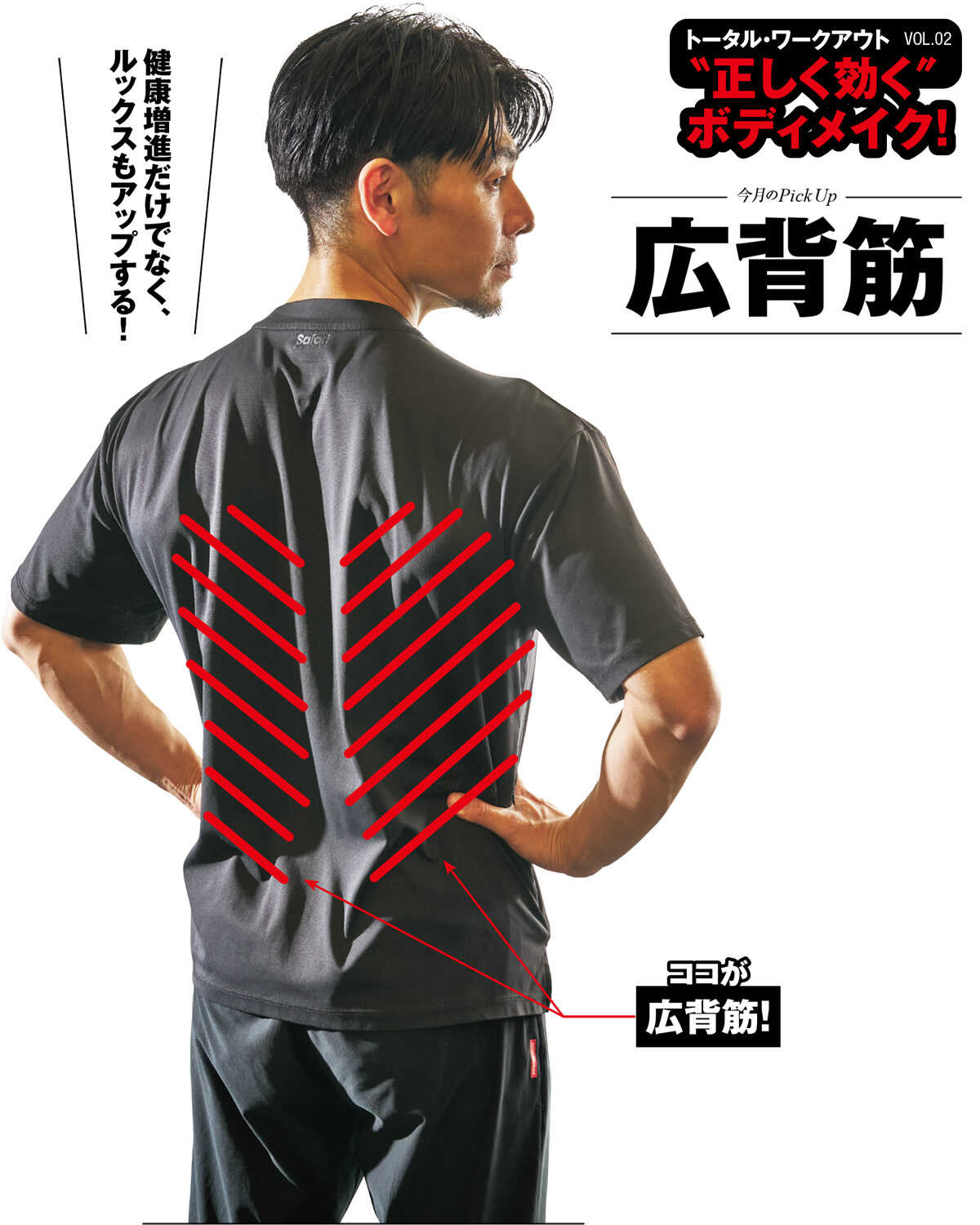 Safari Online 正しく効くボディメイク！広背筋