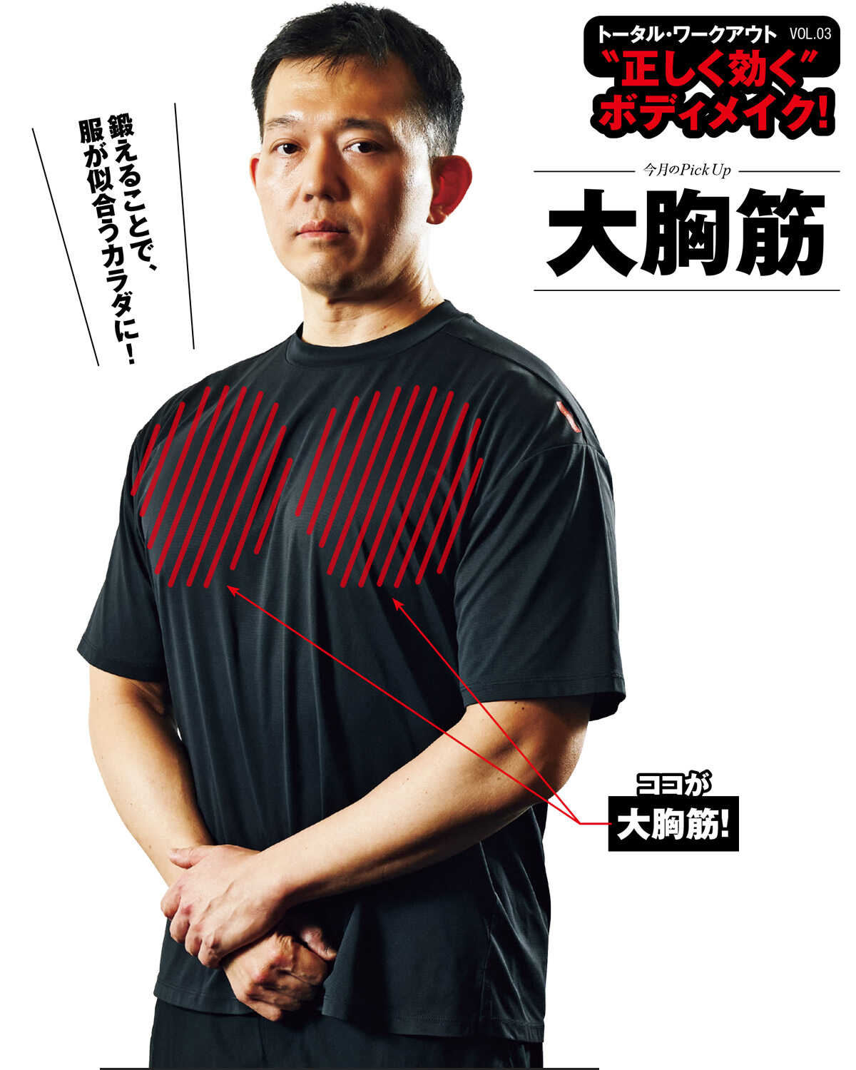 Safari Online 正しく効くボディメイク!大胸筋