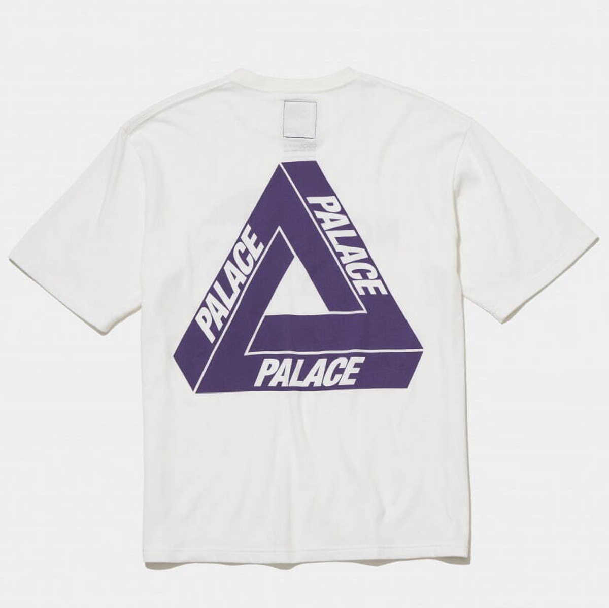 THE NORTH FACE PURPLE LABEL PALACE ロンT