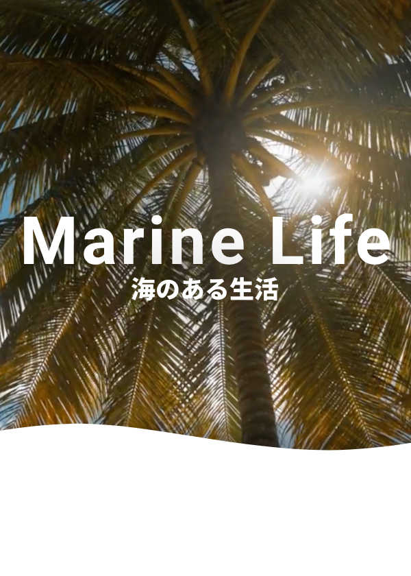 Marine Life ~いつか行きたい旅~