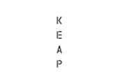 KEAP (キープ)