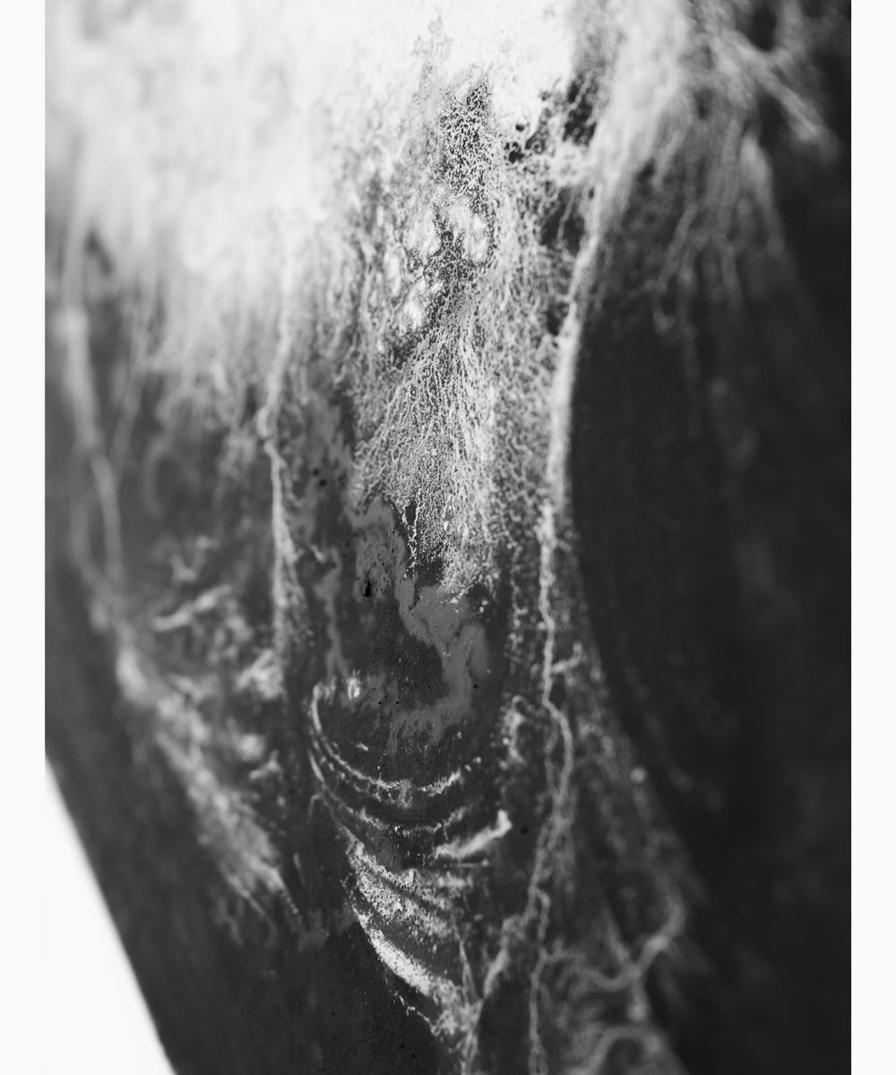 【アーティスト直送】限定 Waveform Ⅲ／ウェーブフォーム III
