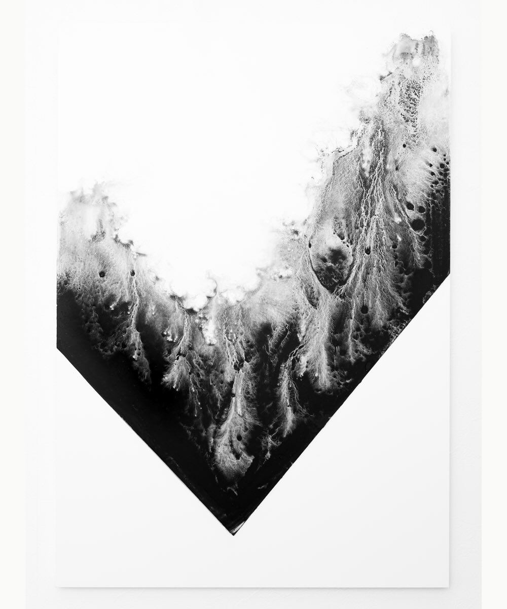 【アーティスト直送】限定 Waveform Ⅳ／ウェーブフォーム Ⅳ
