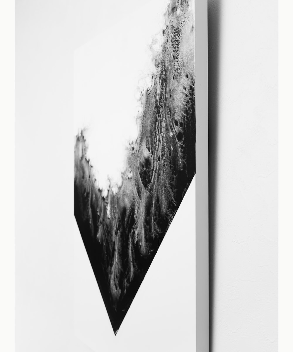 【アーティスト直送】限定 Waveform Ⅳ／ウェーブフォーム Ⅳ