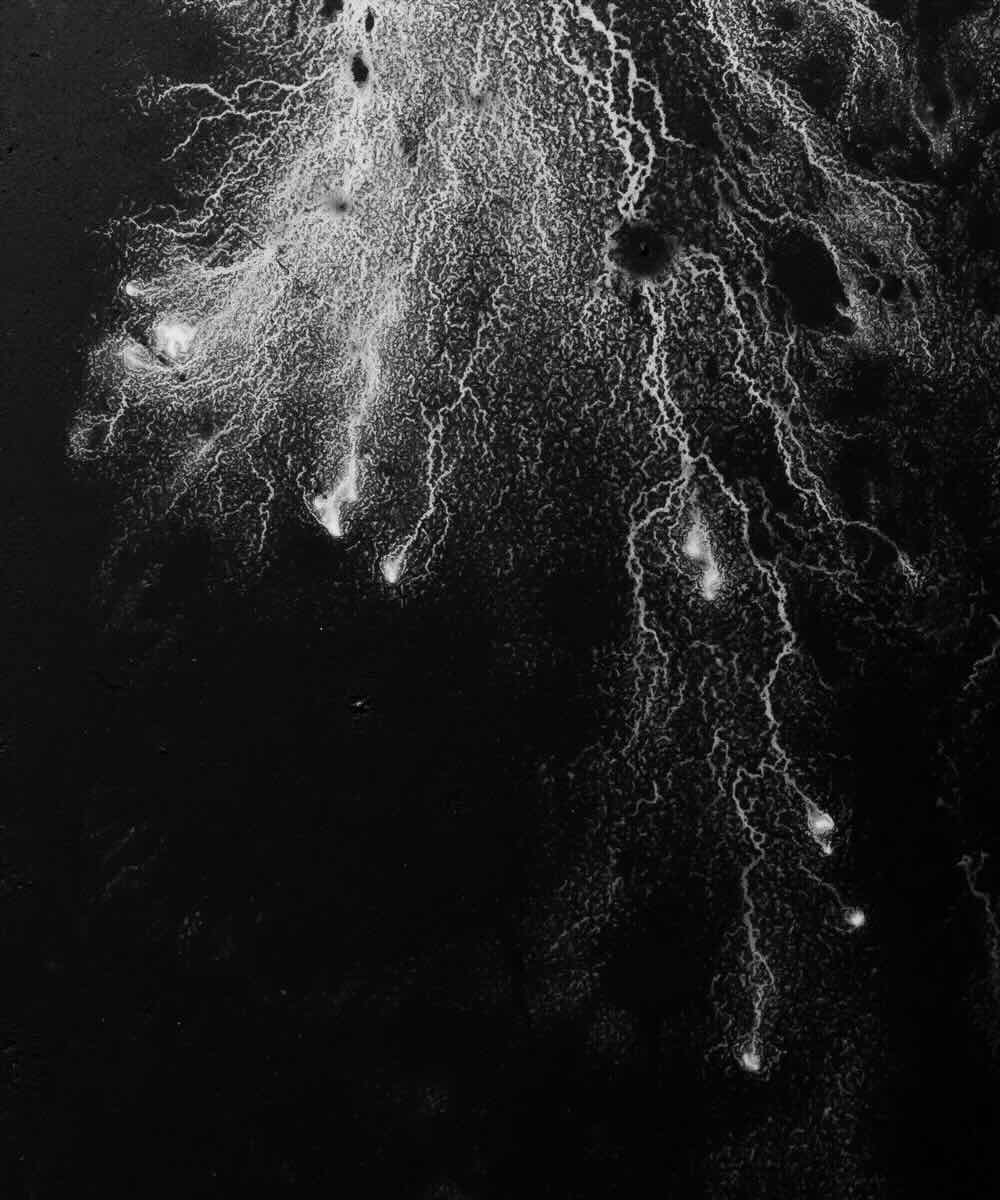 【アーティスト直送】限定 Waveform Ⅳ／ウェーブフォーム Ⅳ