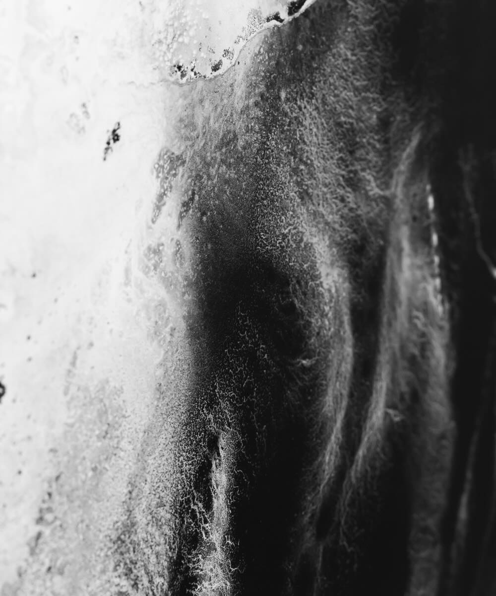 【アーティスト直送】限定 Waveform Ⅴ／ウェーブフォーム  Ⅴ