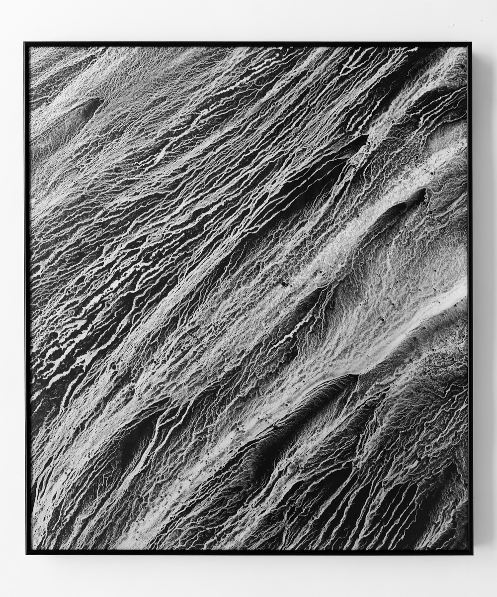 【アーティスト直送】Natural L VII／ナチュラル L VII