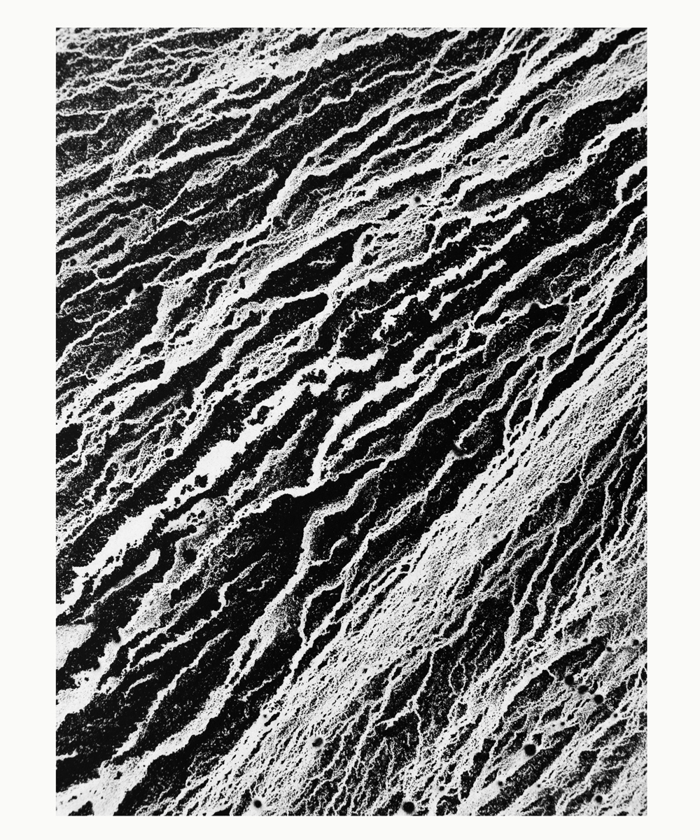 【アーティスト直送】Natural L VII／ナチュラル L VII