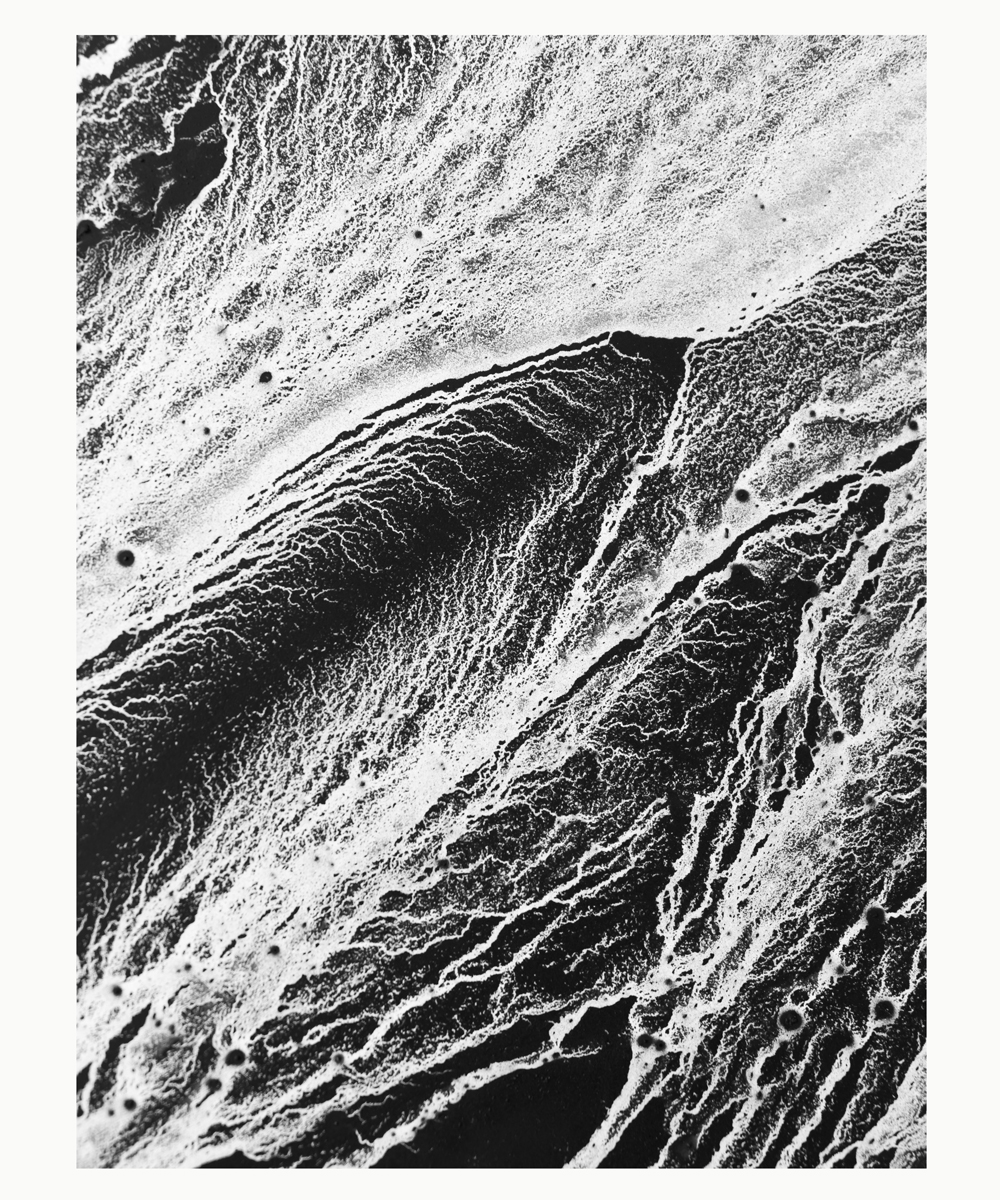 【アーティスト直送】Natural L VII／ナチュラル L VII