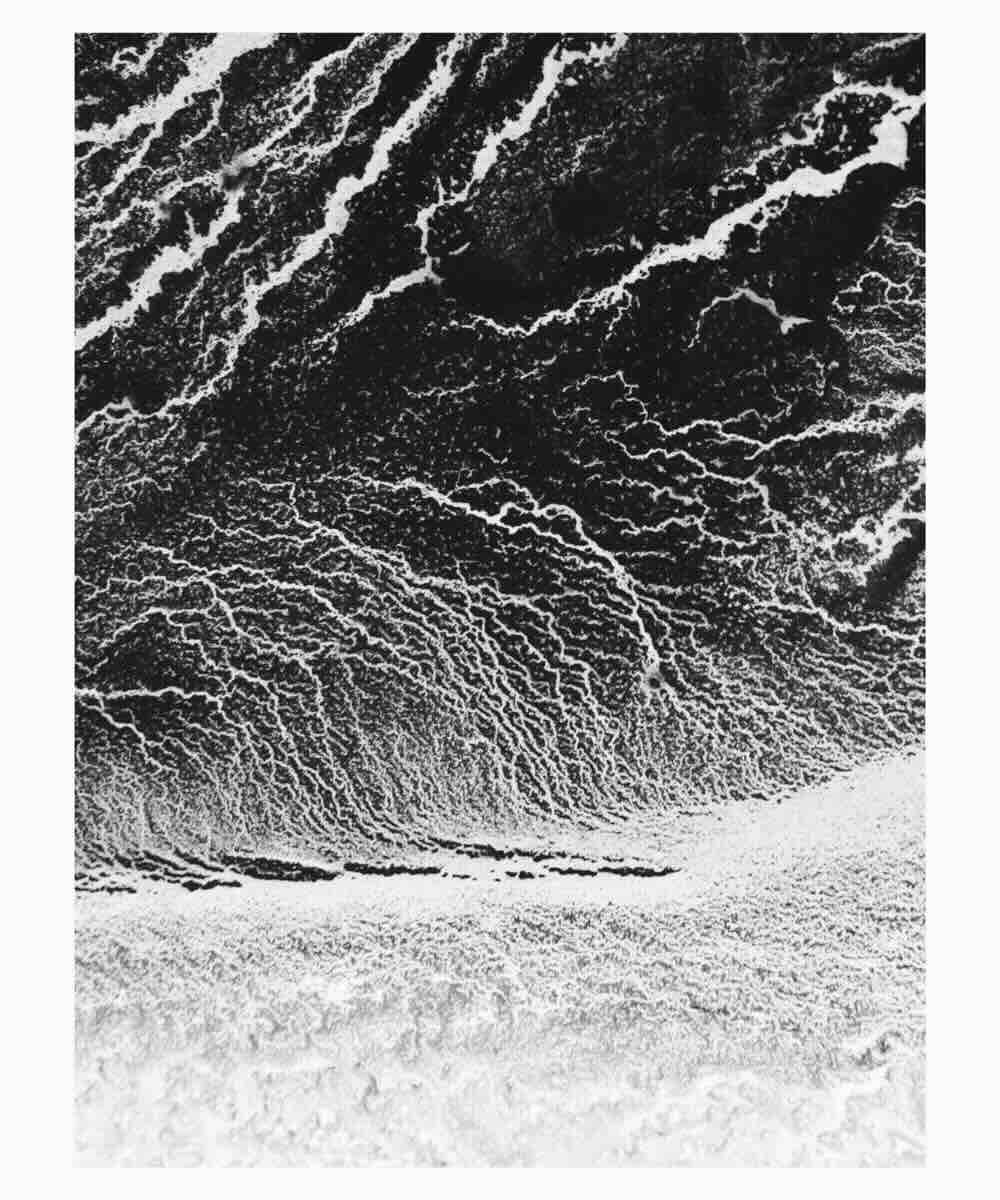 【アーティスト直送】Natural L X／ナチュラル L X