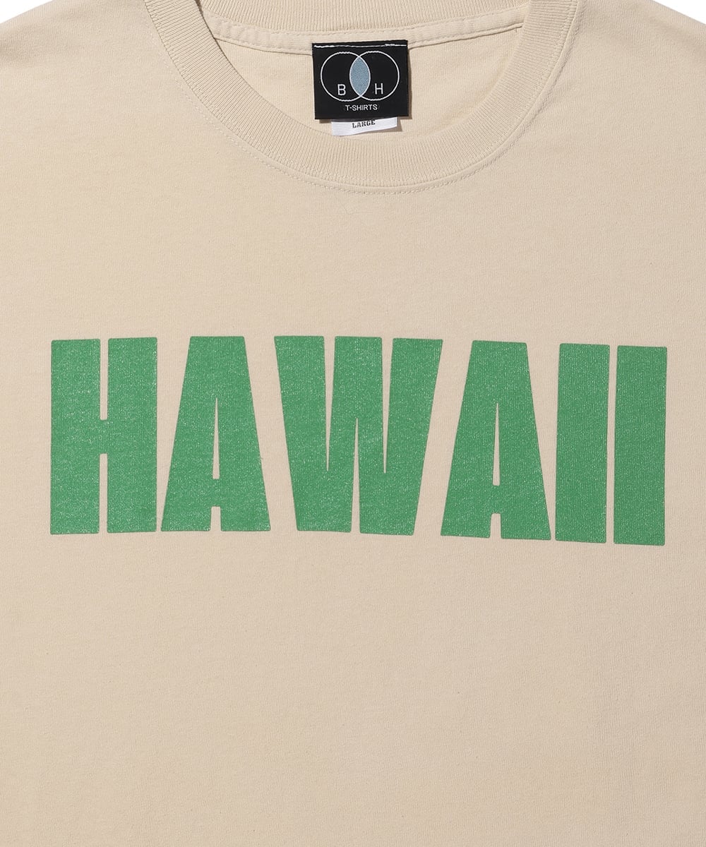 ヘビーウエイト ピグメントダイプリントT