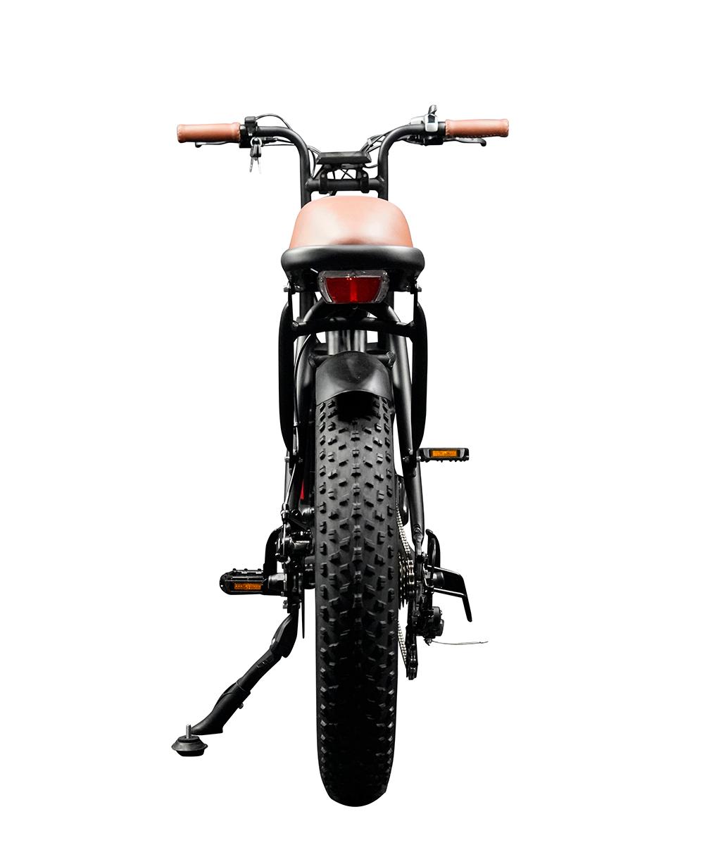 【送料無料】【メーカー直送】“EZ-Rider01”電動アシスト自転車