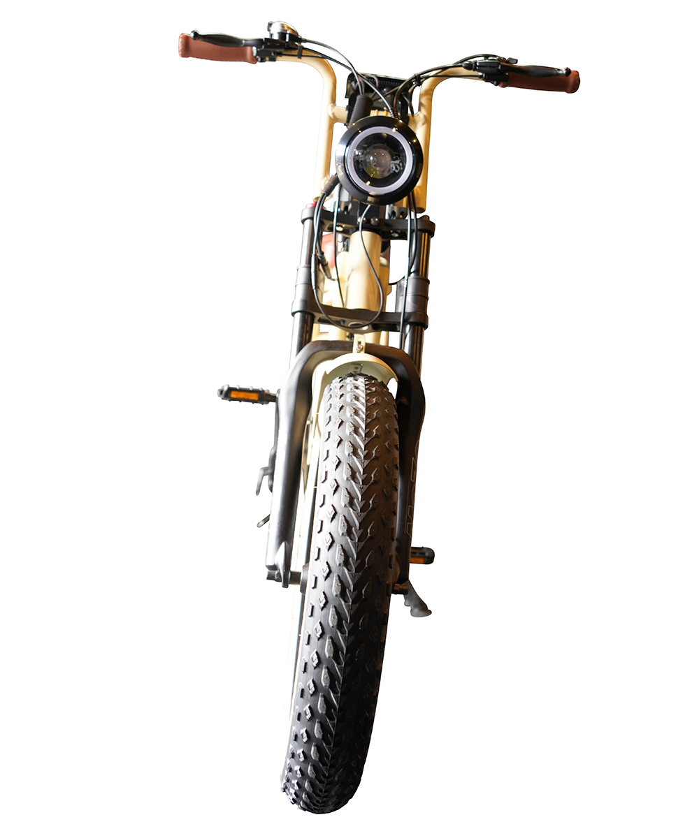 【送料無料】【メーカー直送】“EZ-Rider01”電動アシスト自転車