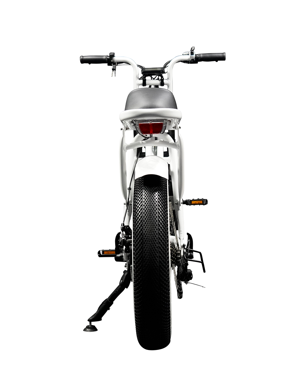 【送料無料】【メーカー直送】“EZ-Rider01”電動アシスト自転車