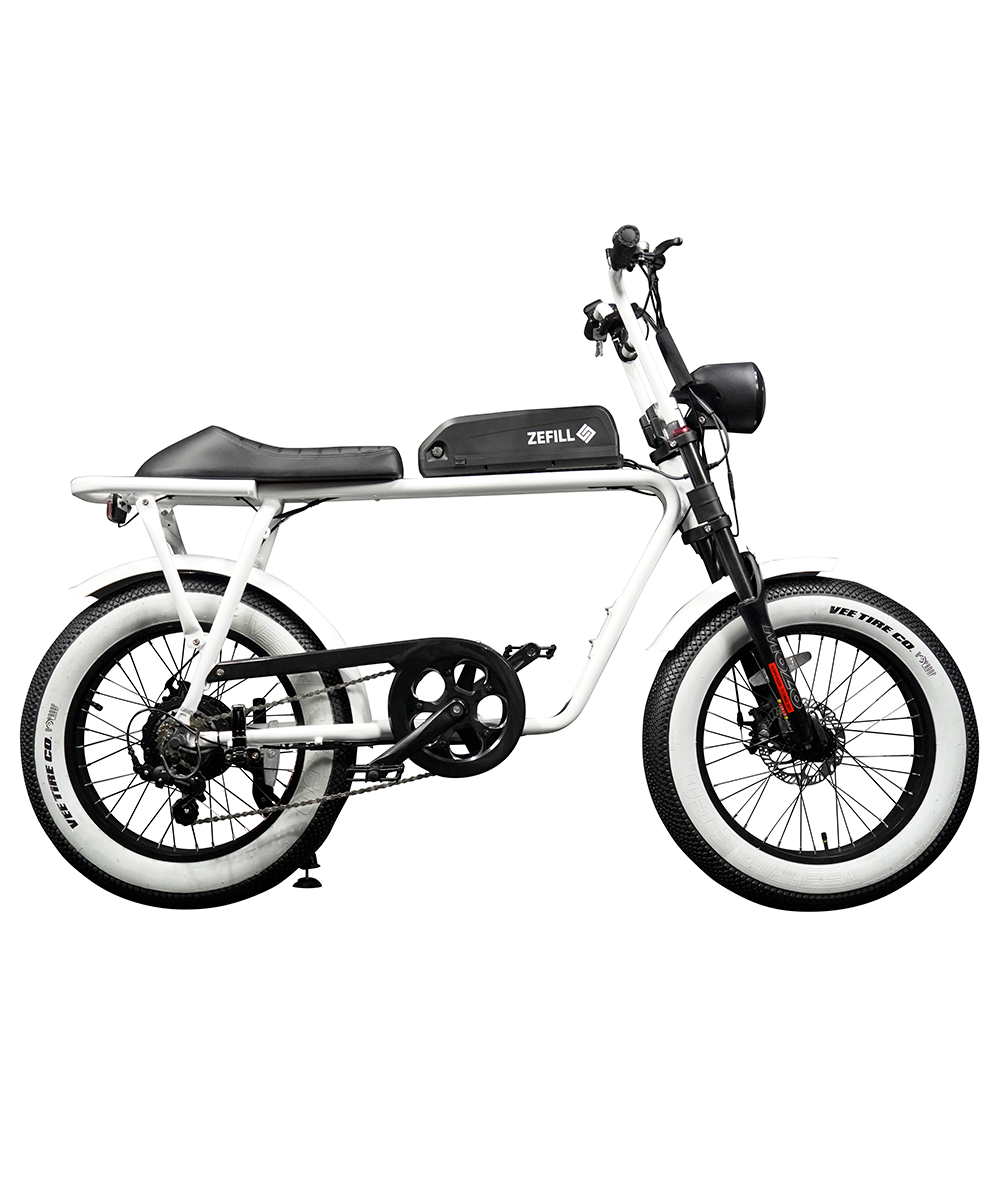 【メーカー直送】“EZ-Rider01”電動アシスト自転車