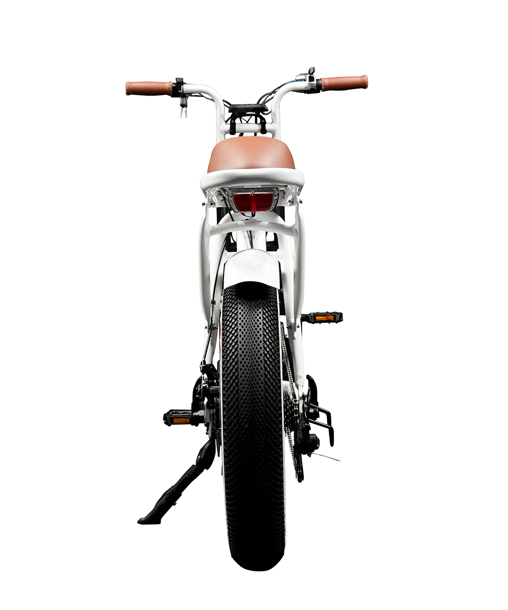 【送料無料】【メーカー直送】“EZ-Rider01”電動アシスト自転車