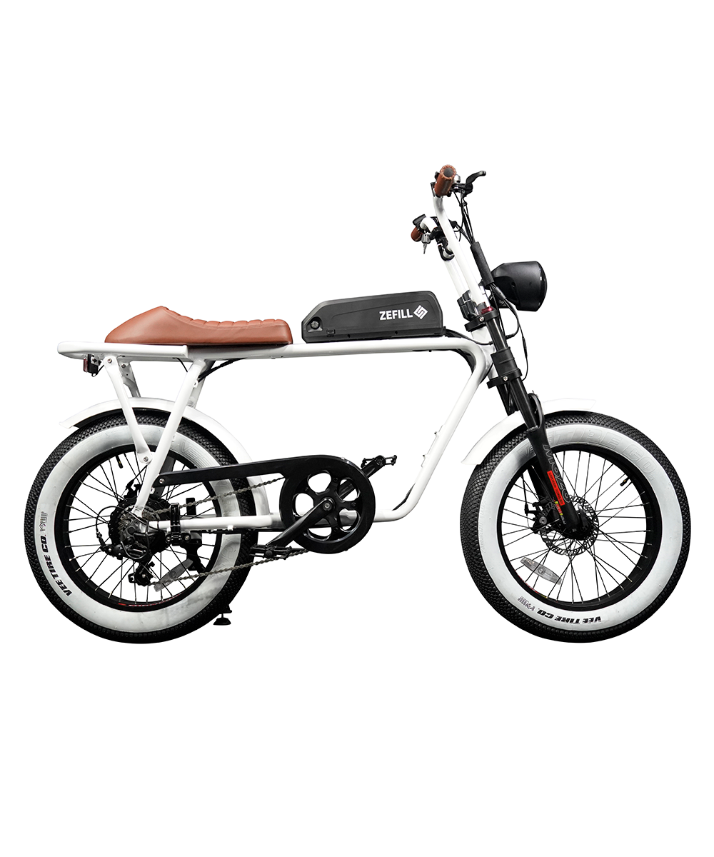 【送料無料】【メーカー直送】“EZ-Rider01”電動アシスト自転車