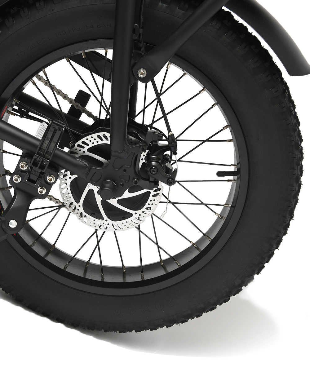 【送料無料】【メーカー直送】『Safari Lounge』カスタム EZ-Rider01電動アシスト自転車