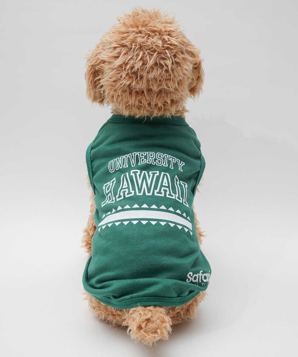 別注限定 ユニバーシティー・オブ・ハワイ ハワイ大学 ドッグ用ノースリーブTシャツ