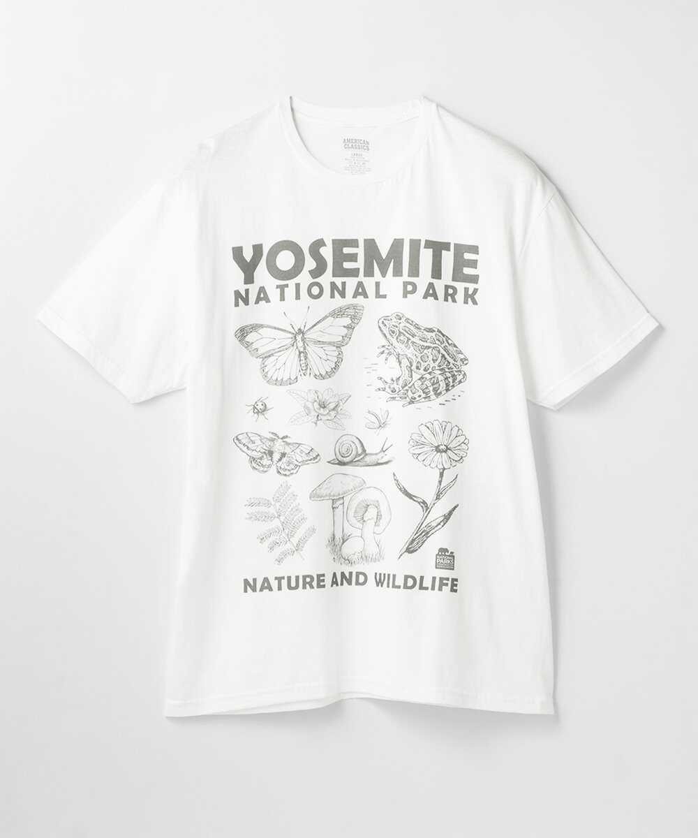 ナショナルパーク プリントTシャツ