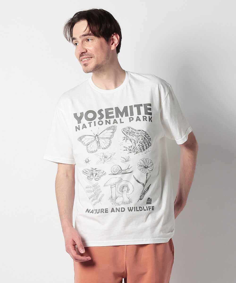 ナショナルパーク プリントTシャツ