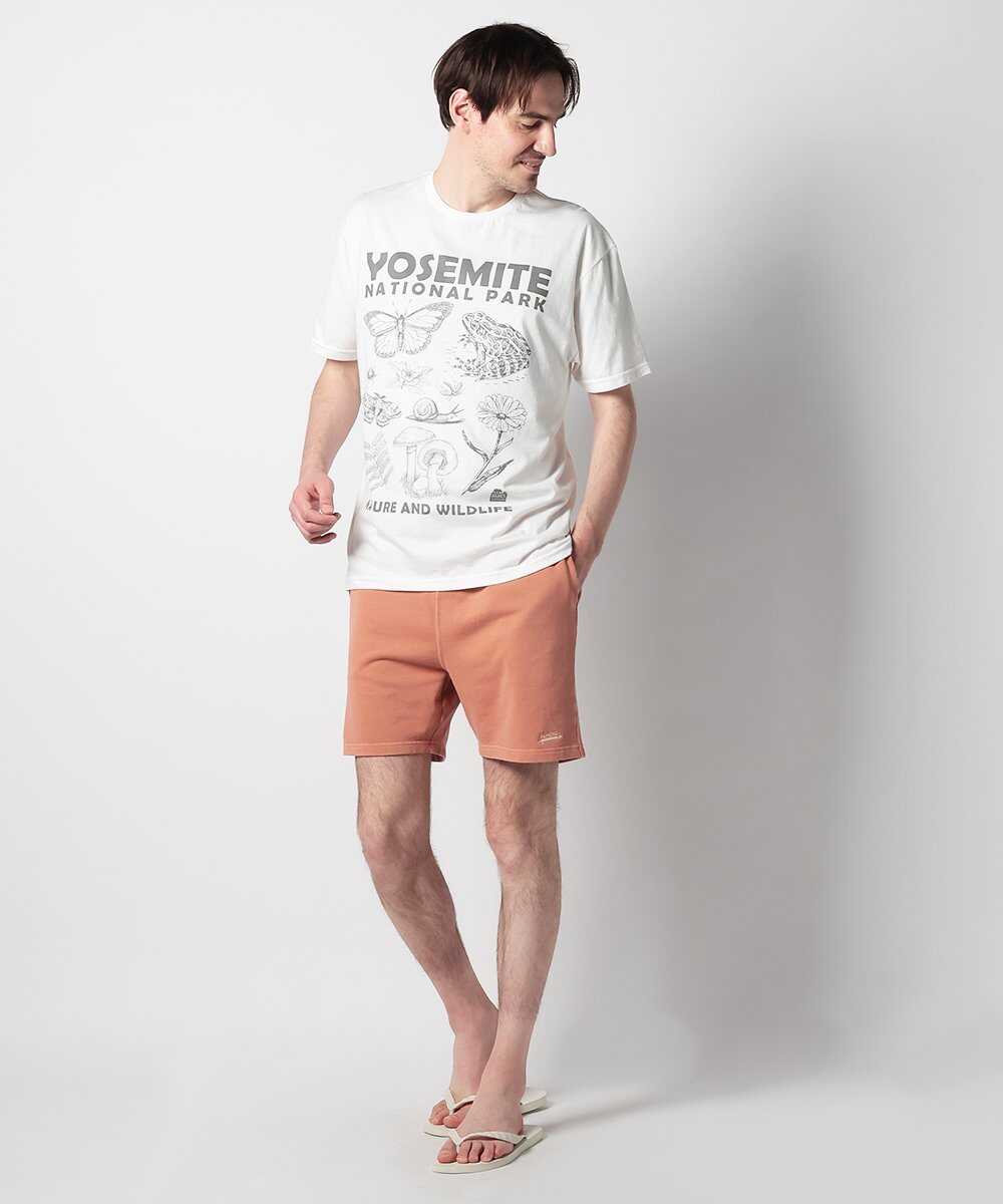 ナショナルパーク プリントTシャツ