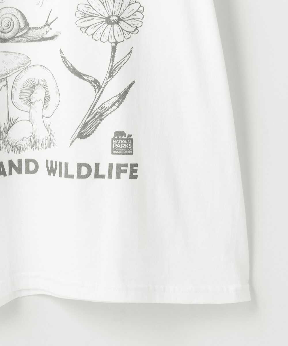 ナショナルパーク プリントTシャツ