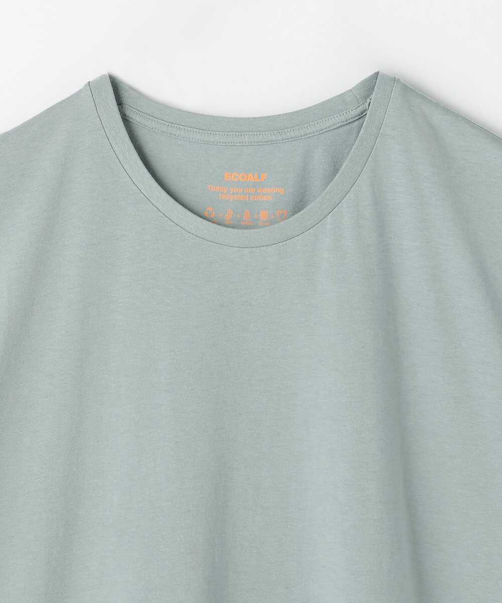 ビーチボーイズ ファンTシャツ