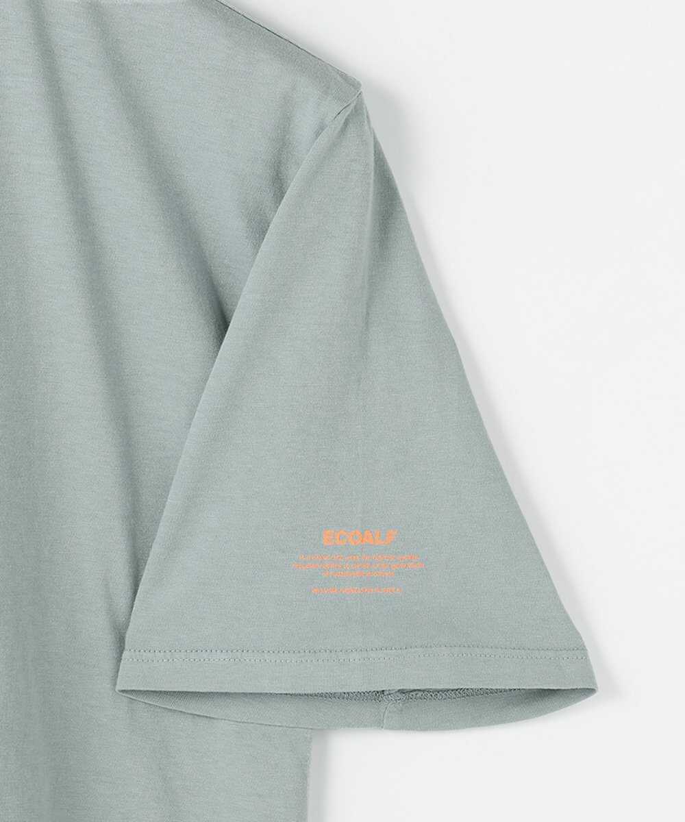 ビーチボーイズ ファンTシャツ