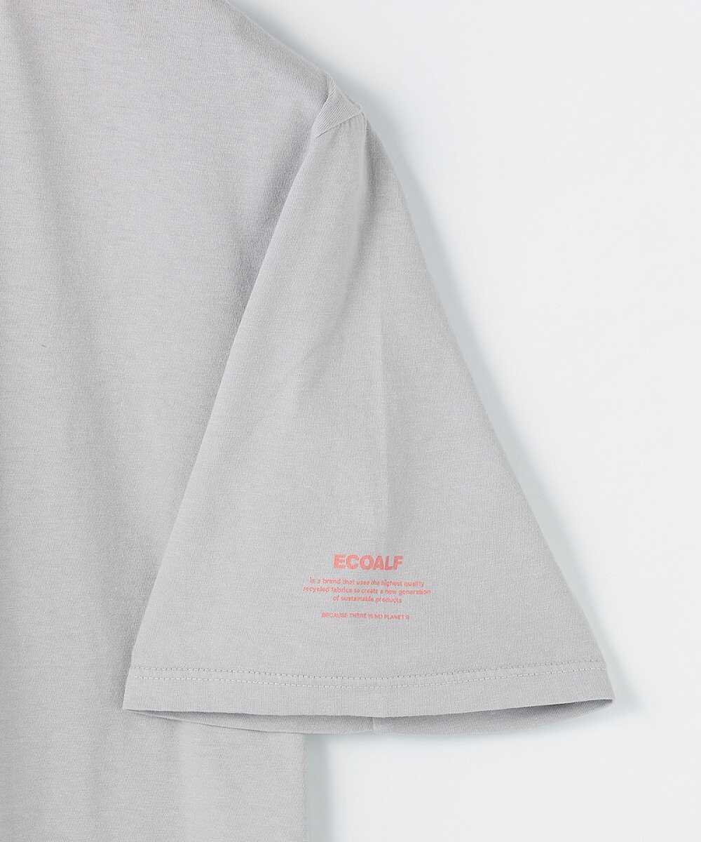 ビーチボーイズ サンフラワーTシャツ