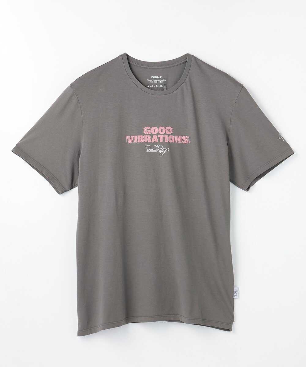 ビーチボーイズ バイブレーションTシャツ