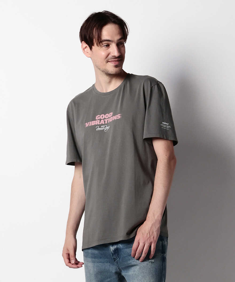 ビーチボーイズ バイブレーションTシャツ