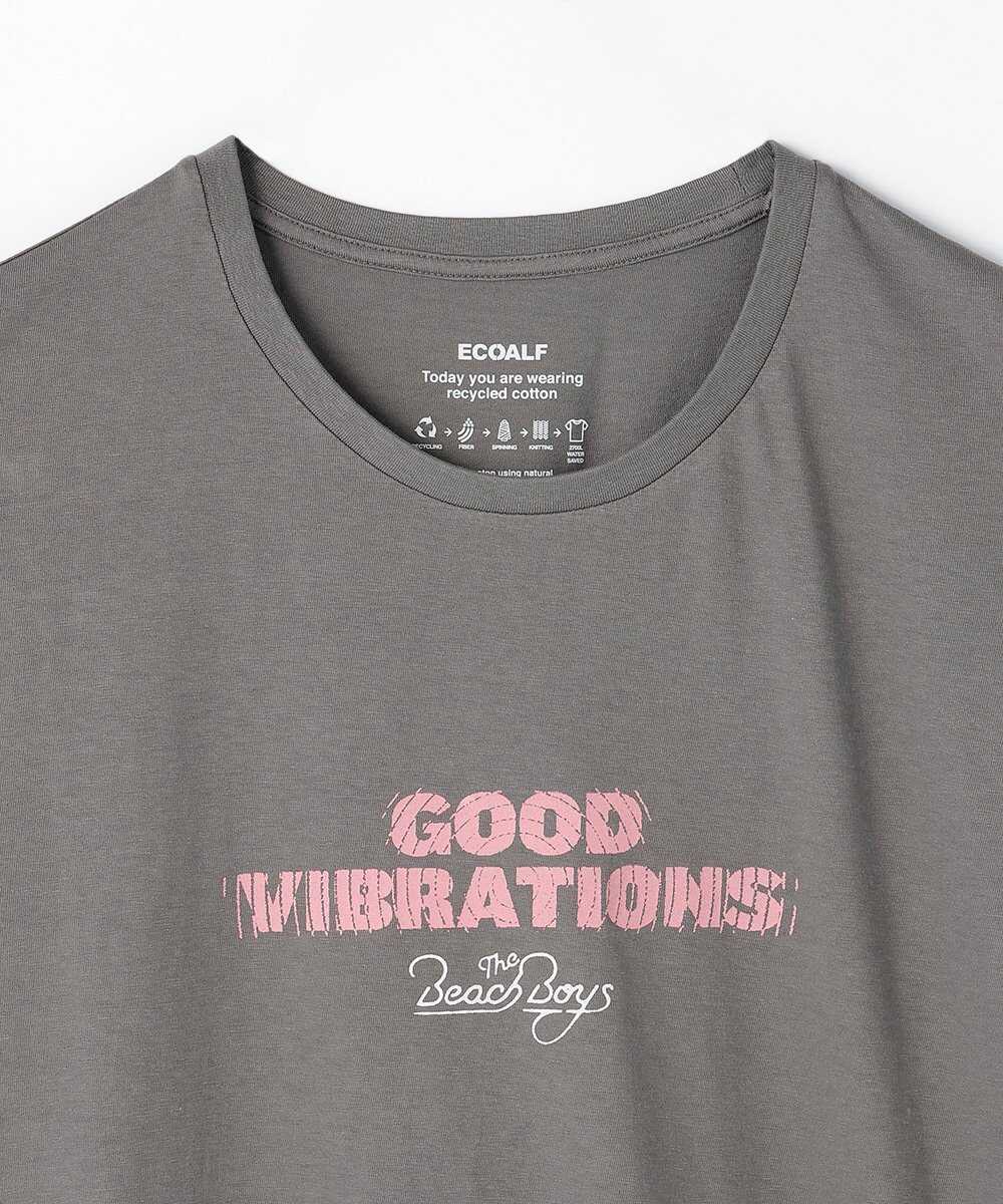 ビーチボーイズ バイブレーションTシャツ