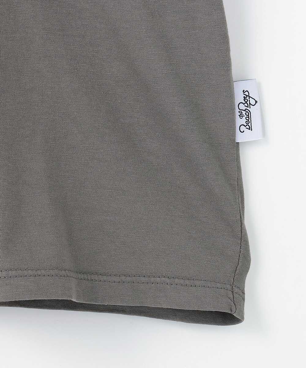 ビーチボーイズ バイブレーションTシャツ