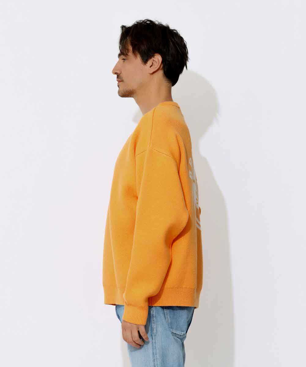 別注限定 サーフモチーフ柄 バックプリントニット