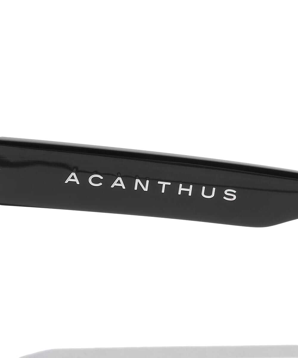 ボールド ウェリントン サングラス