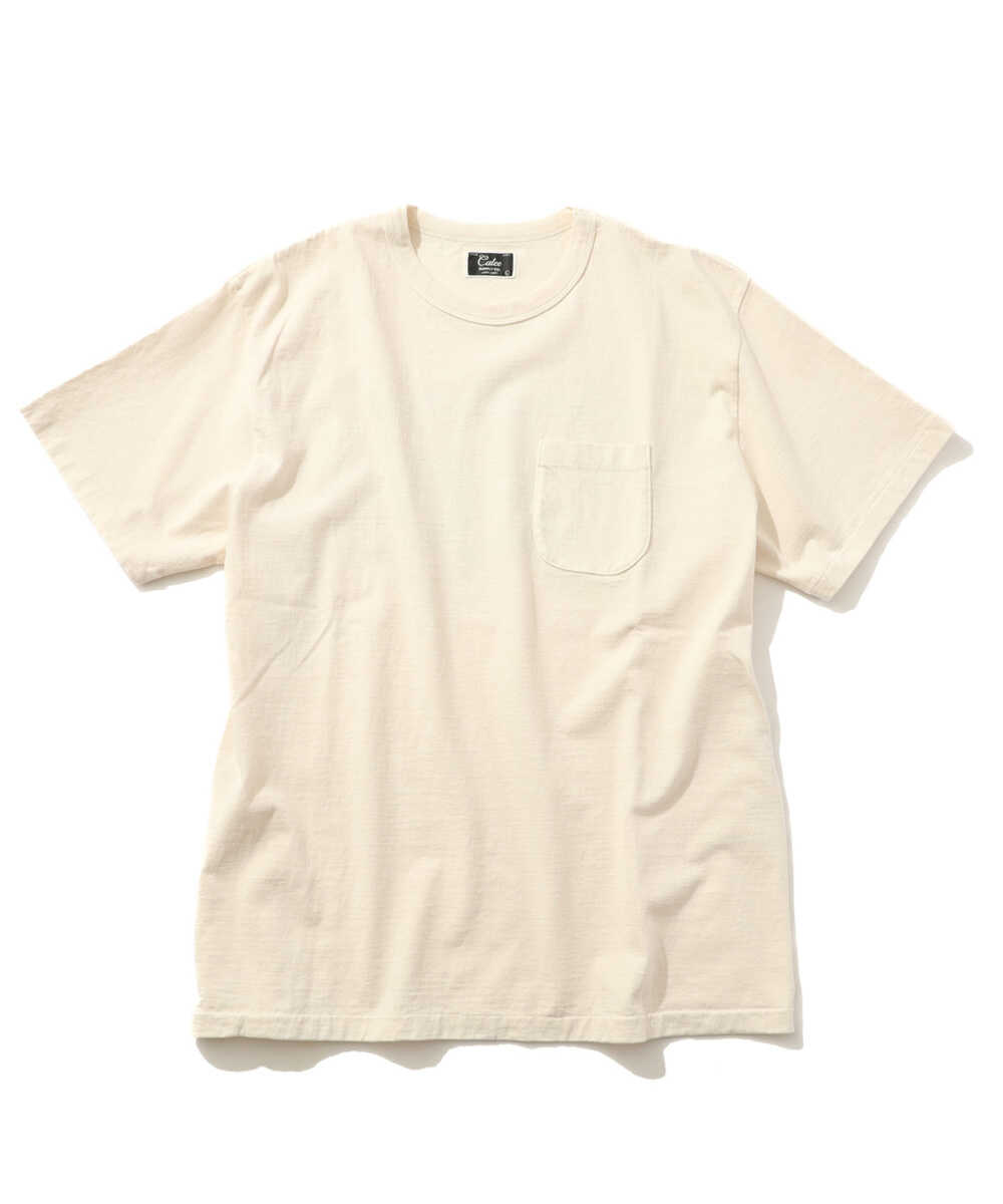 バックプリントTシャツ